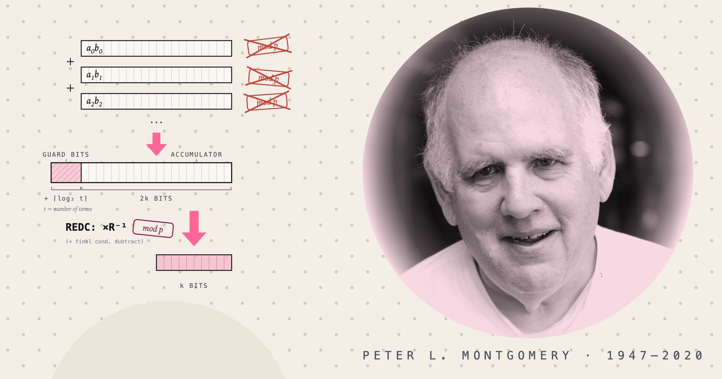 Photograph of Peter Montgomery on a pink disc, beside a diagram of wide unreduced products stacking into an extra-wide accumulator with shaded guard bits, each product's mod p stamp crossed out in red, and one REDC times R inverse arrow reducing the accumulator to a slim k-bit result.