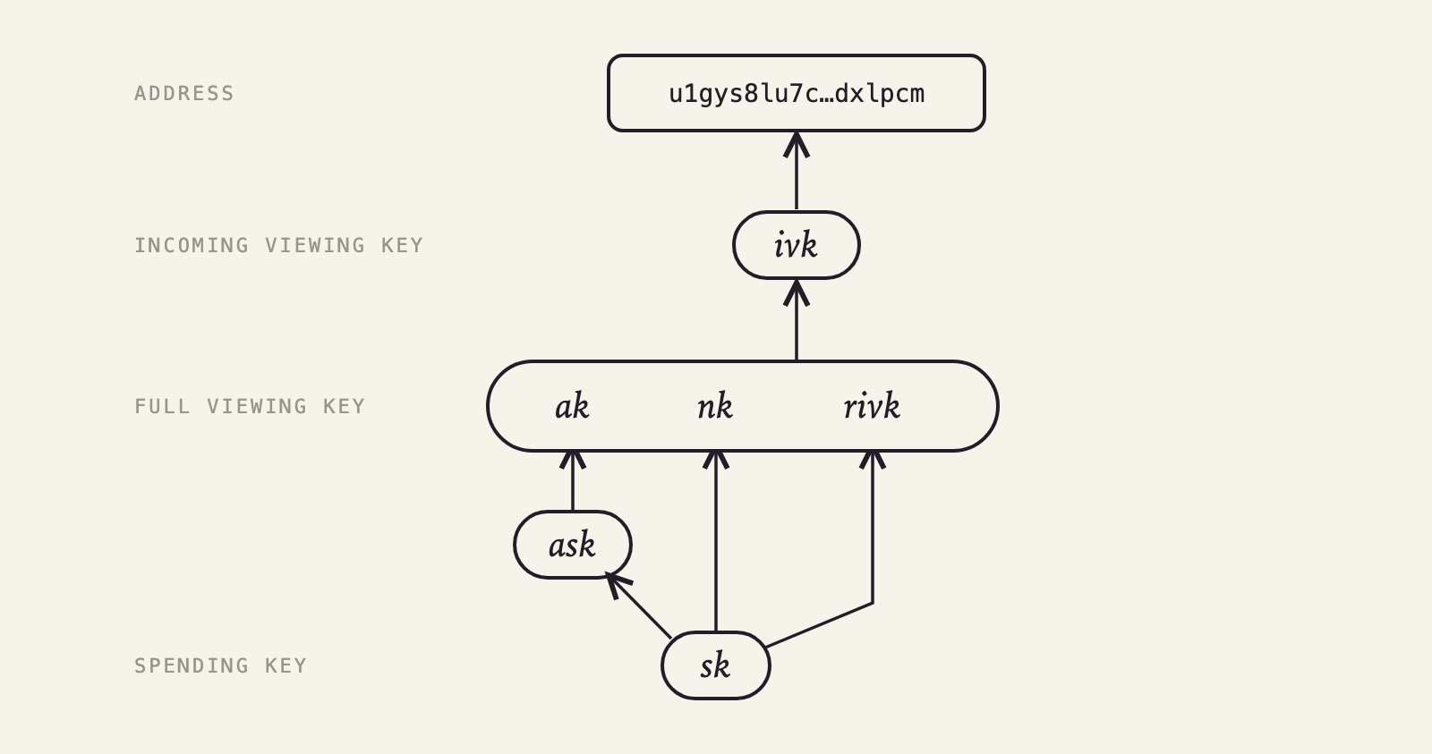 Zcash's key tree, bottom to top. The spending key sk derives ask, whose public half is ak, along with nk and rivk. ak, nk and rivk form the full viewing key, which gives the incoming viewing key ivk, and the account's address is built on ivk.
