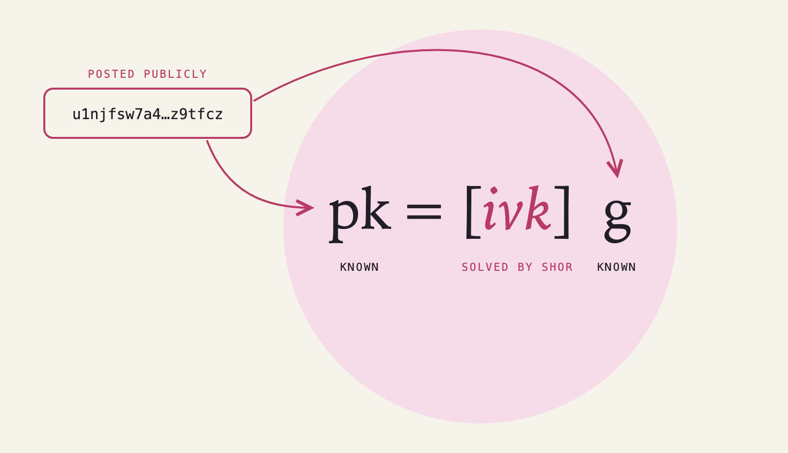 The equation pk equals ivk times g on a pink disc. A publicly posted address sends one arrow into pk and another into g, both labelled known, and ivk is labelled solved by Shor.